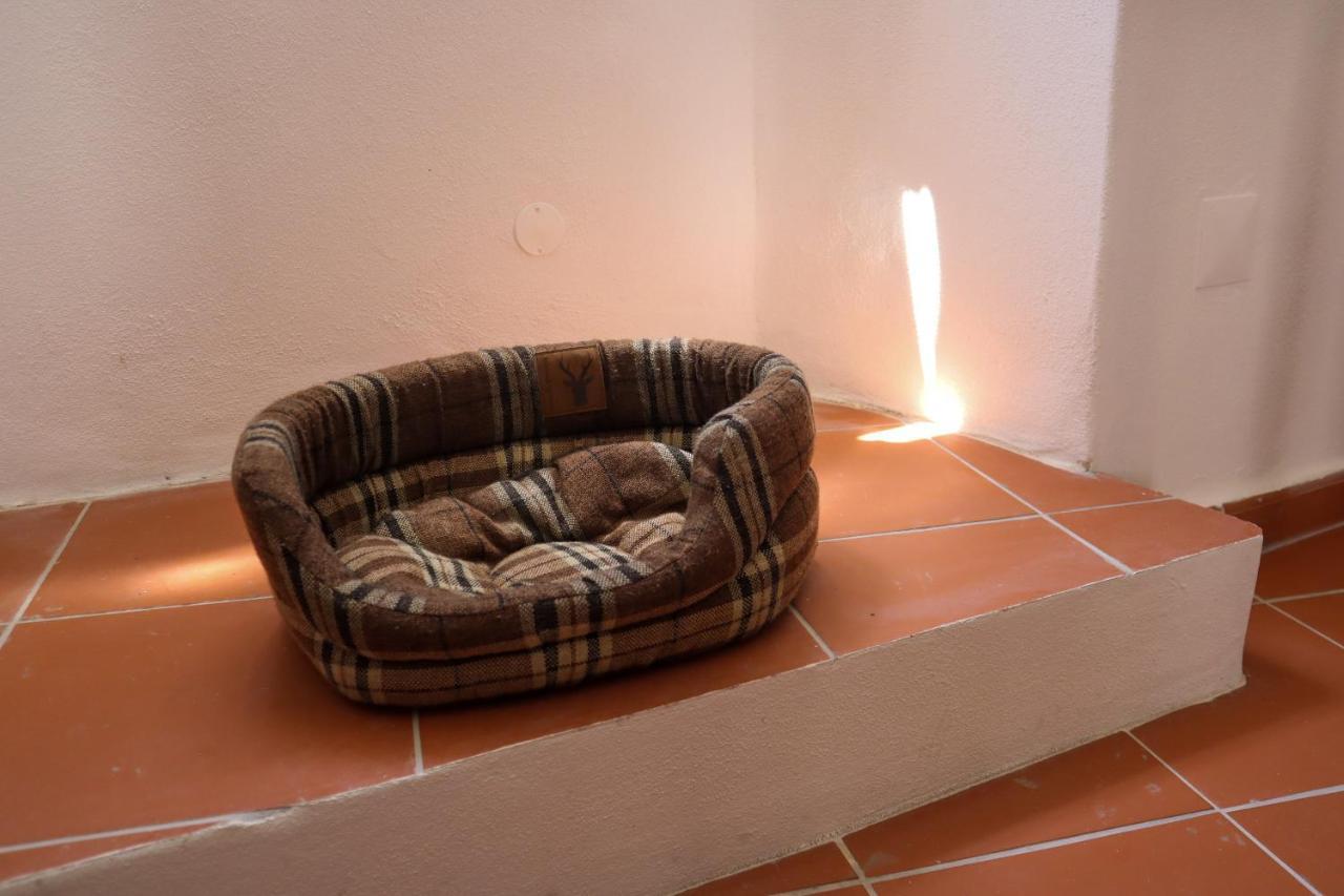 Ti8-Travessa Das Invernas 8 Évora Exteriér fotografie